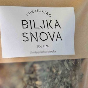 Dream tea Calea zacatechichi lucid dream Mexico